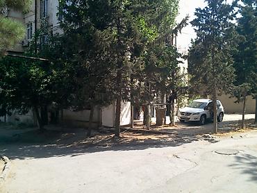 Готовый бизнес: TƏCİLİ! 4-cü Mikrorayonda Hazır Biznes – 2 Otaqlı Kişi və Qadın — 6