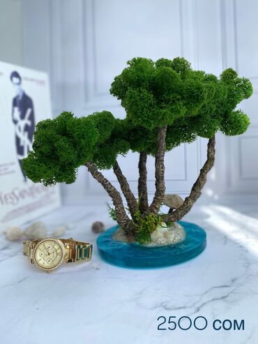 Декоративные цветы: Деревья-бонсай из натурального стабилизированного мха🌳 -это — 39