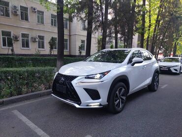 орел фронтеро: Срочно подается Lexus NX300, 2019год белый пробег 57 тысяч, черный