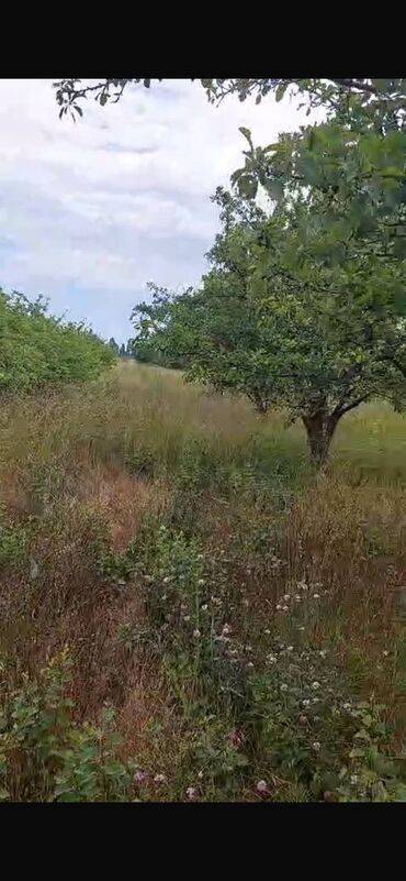 Torpaq sahələrinin satışı: 150 sot, Biznes üçün, Barter mümkündür, Kupça (Çıxarış) — 6