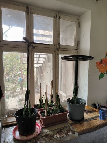 Həyət evi alıram: 9 kv. m, 6 otaqlı, Qaz, İşıq, Su — 13