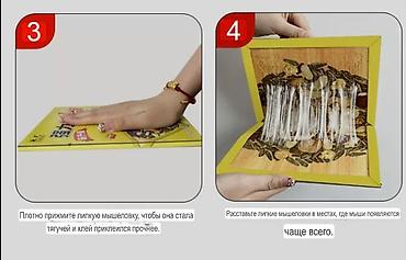 Другие хозтовары: Липкая доска-ловушка для мышей Описание: - Основа из плотного — 5