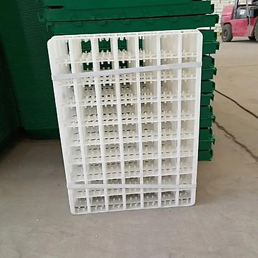 İnkubatorlar: Bütün növ quşlaq üçün — 11