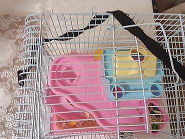 Qəfəslər: Siçan/hamster ile 2 mərtəbəli!qəfəs dəsti 'qızdı yemək və qumu ile — 4