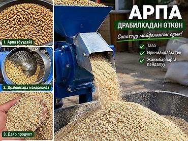 Дроблёный ячмень (корм) Бишкек доставка есть Описание: - Качественно at lalafo.kg Дроблёный ячмень (корм) Бишкек доставка есть Описание: - Качественно