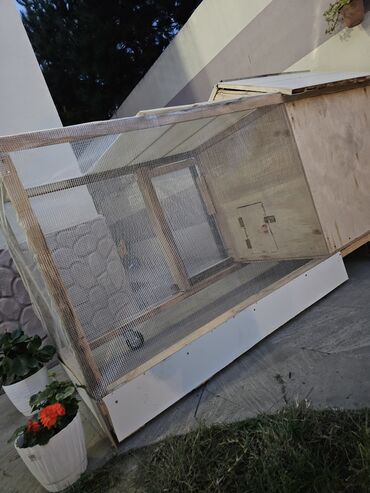 Yuvalar: Taxta toyuq daxması və açıq volyer - Material: möhkəm taxta karkas — 18