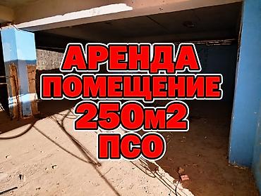 додой: Сдаю Офис целиком: Банковское отделение, IT-компания, Авиакасса, 250 м², В административном здании, Без ремонта, С высокими потолками, С отдельным входом, С отдельным санузлом — 1