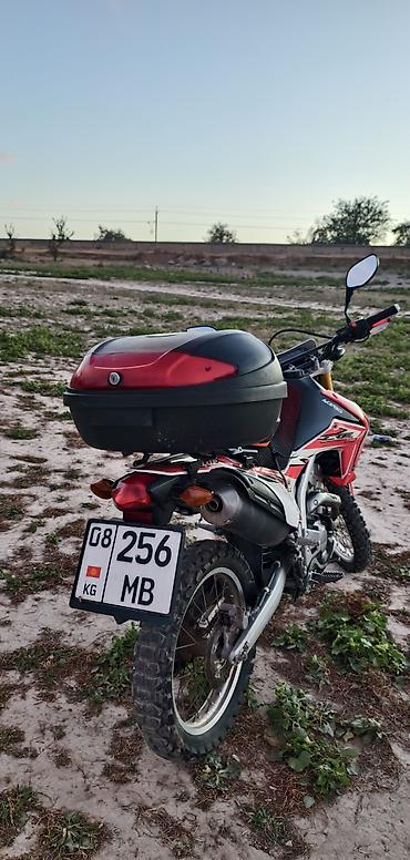crf 300 rally: Эндуро Honda, 250 куб. см, Бензин, Взрослый, Б/у — 6