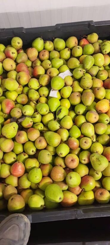 ящик для клубника: Груши Оптом, Самовывоз, Платная доставка