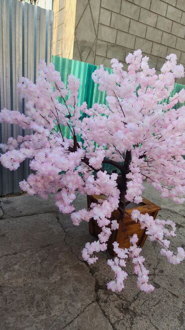 Декоративные цветы: Сакура искусственное дерево высота 2 м ширина 2 м цена от 1000 сом at lalafo.kg — 25 Декоративные цветы: Сакура искусственное дерево высота 2 м ширина 2 м цена от 1000 сом — 25