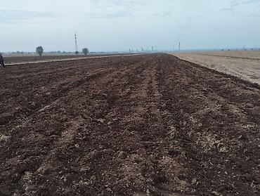 Куплю земельный участок: Продаётся хорошая поливная земля в городе карабалта возле — 4