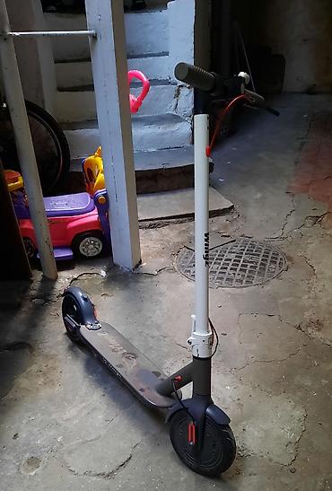 wingz scooter: Elektrik skuter – WingZ Süret 30 km Mesafe 25 km - Brend/model — 2