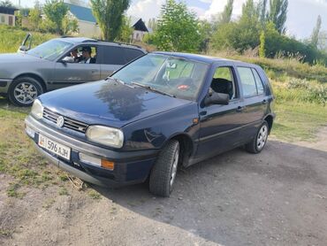 Volkswagen: Volkswagen Golf: 1993 г., 1.6 л, Механика, Бензин, Хэтчбэк