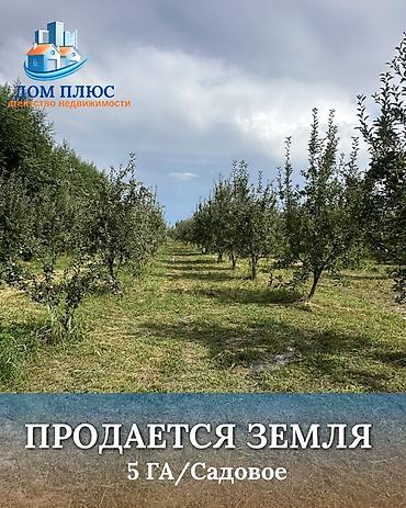 московская фучика: 500 соток, Для сельского хозяйства — 1
