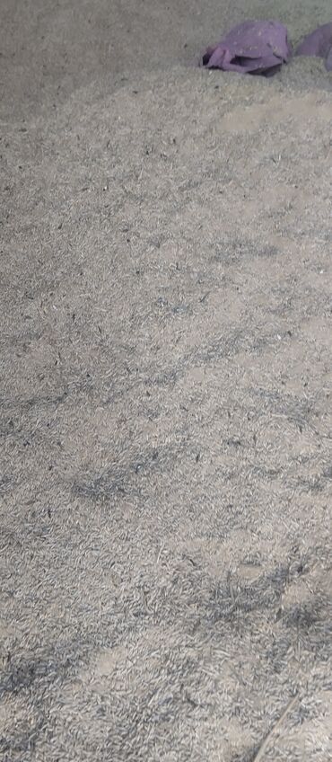 офисные кресло бу: Лузга (шелуха) риса/зерновых — россыпь Описание: - Органический