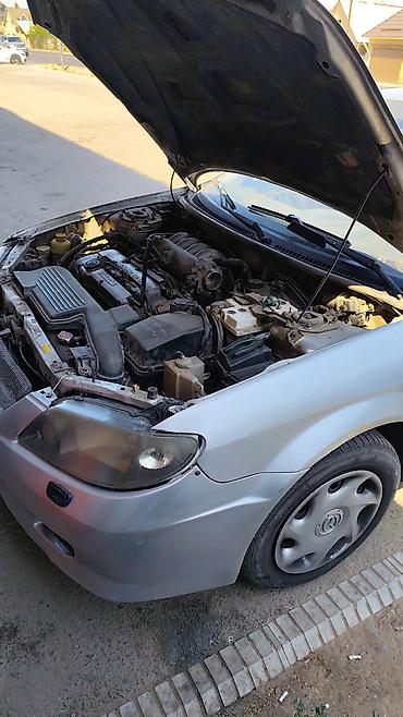 Другие малярные работы: Больше 6 лет опыта — 12