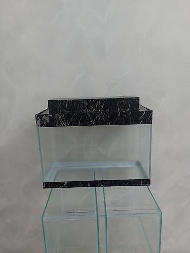 vakum su pompası: Şüşə akvarium – dekorativ “dollar” fonlu - Material: qalın temperli — 4