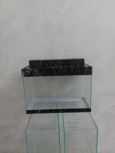 Akvariumlar: Ölçü 30×20×15

Ev və ofis üçün estetik, baxımı asan mini akvaryum — 14