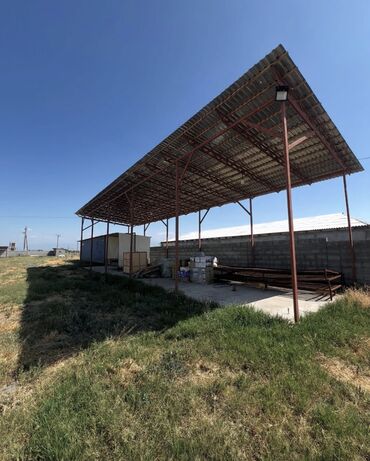 Другая коммерческая недвижимость: Продаётся мал сарай 📍 адрес: сокулукский район, с. Чат-көл 🏢 мал at lalafo.kg — 13 Другая коммерческая недвижимость: Продаётся мал сарай 📍 адрес: сокулукский район, с. Чат-көл 🏢 мал — 13