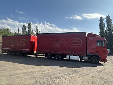 Тягачи: Тягач, DAF, 2012 г. — 11