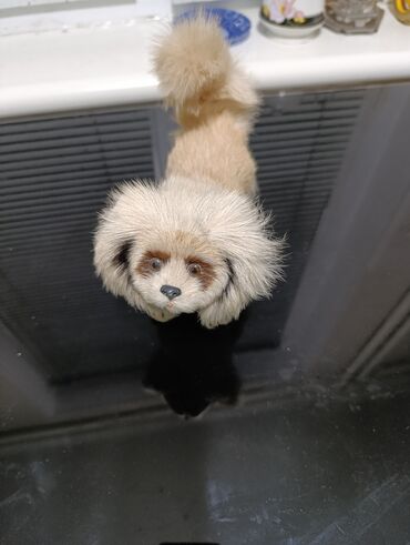 Игрушки: Мягкие игрушки и три фарфоровые статуэтки, и другие игрушки Цена 20 - — 9