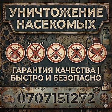 Клининг кызматтары: Профессиональная дезинсекция помещений. Услуги: - Уничтожение — 1