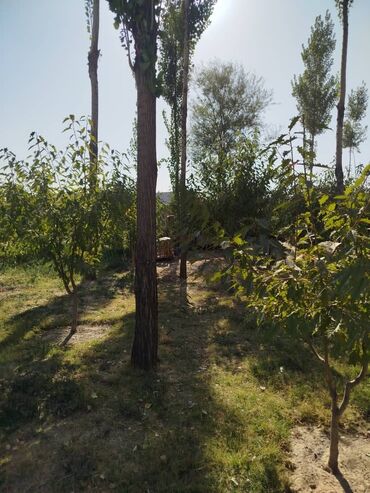 Продажа участков: 300 соток, Для сельского хозяйства, Красная книга — 7