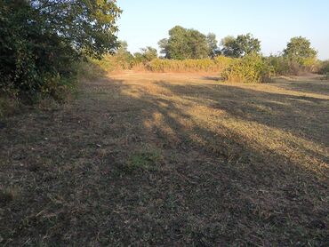 Torpaq sahələrinin satışı: 21 sot, Tikinti, Mülkiyyətçi, Kupça (Çıxarış) — 4