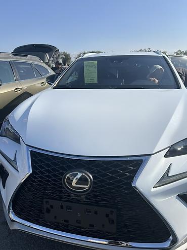 Lexus: Lexus NX: 2019 г., 2 л, Автомат, Бензин, Кроссовер — 1