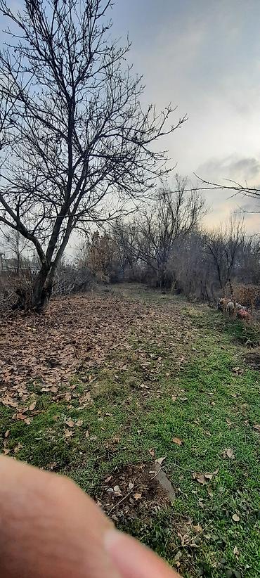 Продажа коттеджей и домов: Продаётся двухэтажный дом в селе Алексеевка из четырёх комнат по — 11