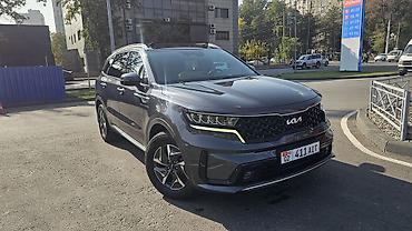 салквн тор: Kia Sorento: 2022 г., 1.6 л, Автомат, Гибрид, Кроссовер — 1