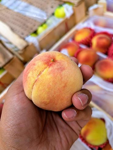 персик: Свежие фрукты: Персики и Виноград | Прямые поставки из Узбекистана 🍑 — 6