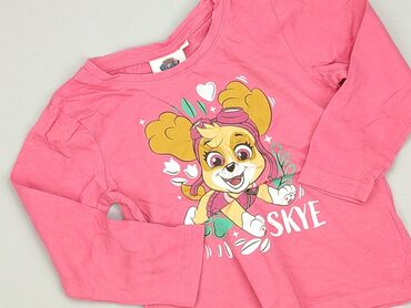 Blouses: Blouse, Nickelodeon, 3-4 years, 98-104 cm, condition - Good