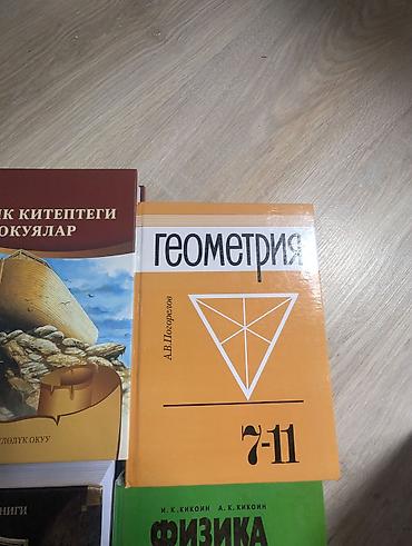 Другие учебники: Набор учебников и книг, преимущественно для 9 класса. В комплект — 18