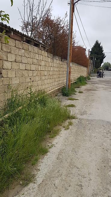 samaxida torpaq sahesi satilir: 6 sot, Tikinti, Kupça (Çıxarış) — 10