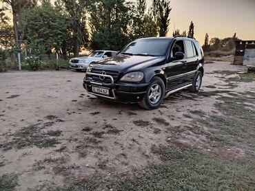 женские машины не дорогои: Продаю две машины один Mersedes ML320 другой Nissan Gloria обе машины