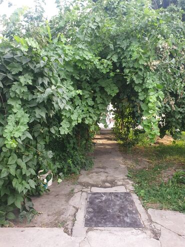 киси миси бишкек в Кыргызстан | Үйлөрдү сатуу: 46 кв. м, 4 бөлмө, Жаңы ремонт Эмерексиз