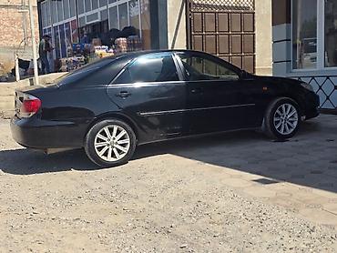 два авто: Toyota Camry: 2004 г., 2.4 л, Автомат, Газ, Седан — 2