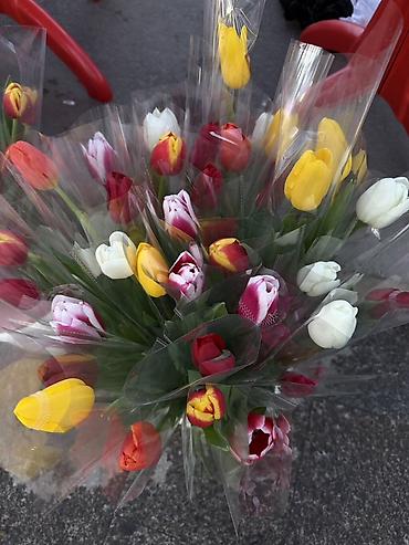 Букеты из живых цветов: Тюльпаны – свежие срезанные цветы и готовые букеты - Разнообразие — 2
