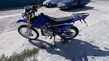 lx 570 2014: Эндуро 250 куб. см, Бензин, Взрослый, Новый — 6