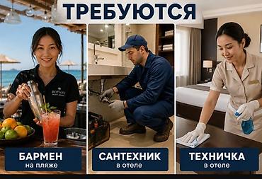 электрик ош: Талап кылынат Бармен, Төлөм: Ай сайын, 1-2-жылдык тажрыйба — 1