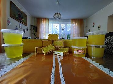 ат касилке: Продаём Мёд натуральный со своей пасеке. Цена за 1 кг 450 сом. Также — 1