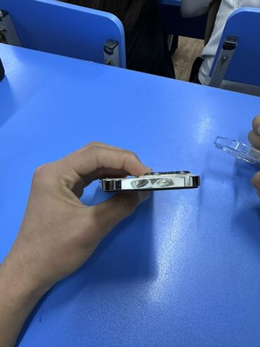 Apple iPhone: IPhone 13 Pro, Б/у, 256 ГБ, Серебристый, Чехол, 76 % — 5