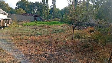 жилмассив семетей карта: 3 комнаты, 46 м², 17 соток, Дмитриевка, Собственник — 1
