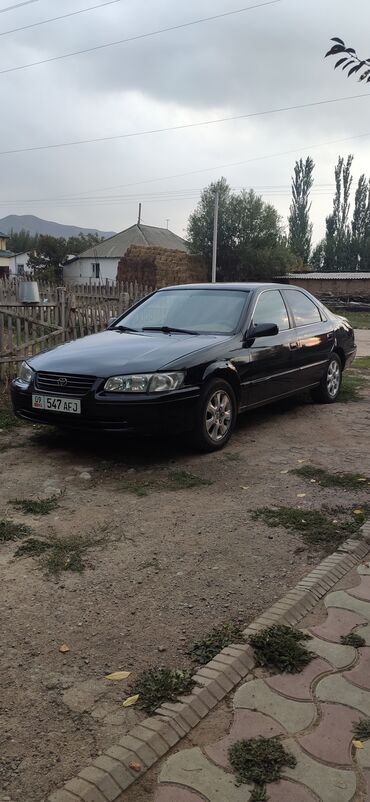 дэу матиз 1: Toyota Camry: 1997 г., 3 л, Автомат, Бензин, Седан