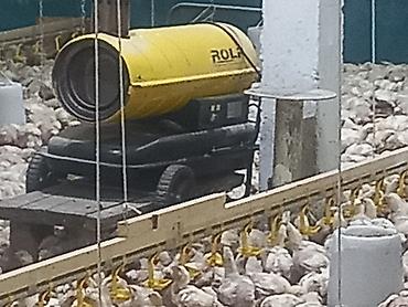 Продажа сельхоз предприятий: Кошара, 1500 соток, Действующий, С оборудованием, Электричество, Канализация, Отопление — 18