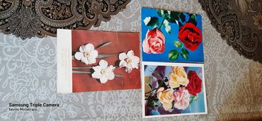 Kolleksiya kartları: 90 cı illərin nakleykaları satılır. Biri 2 manata.(200ə yaxındı) — 12