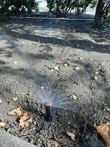 damlama boruları: Suvarma sistemləri! Hər növ suvarma və damlama sisteminin qurulması — 8