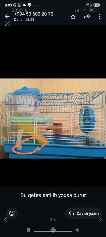 Qəfəslər: Mavi rəngdə, dəmir çərçivəli hamster qəfəsi. İçərisində oyuncaq çarxı