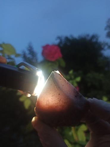 Qiymətli daşlar: Təbii YAQUT ( Ruby ) Daşı SATILIR 💎 Kolleksiya üçün Nadir Floresan ✨ — 8